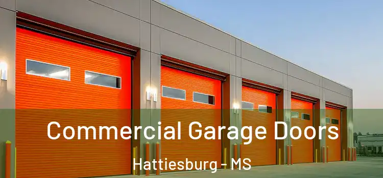  Commercial Garage Doors Hattiesburg - MS