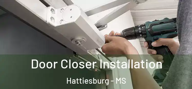 Door Closer Installation Hattiesburg - MS