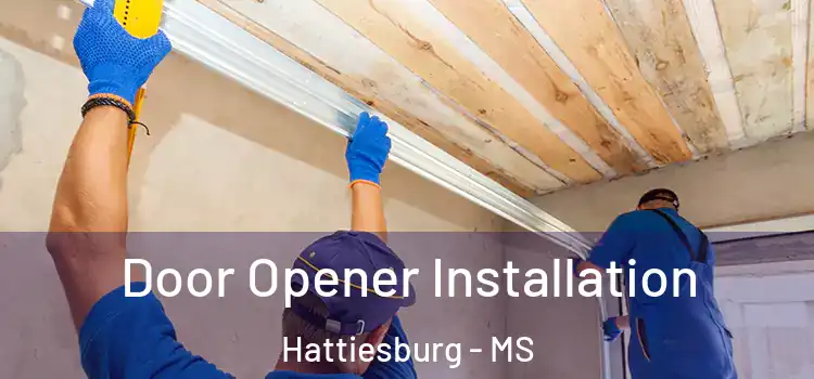 Door Opener Installation Hattiesburg - MS