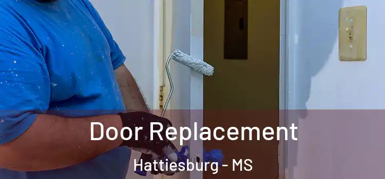 Door Replacement Hattiesburg - MS