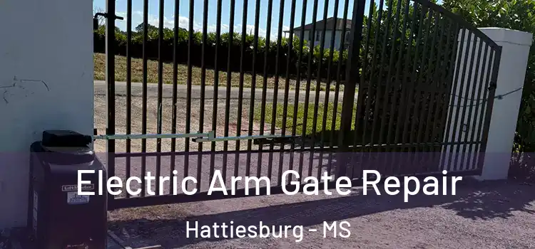 Electric Arm Gate Repair Hattiesburg - MS