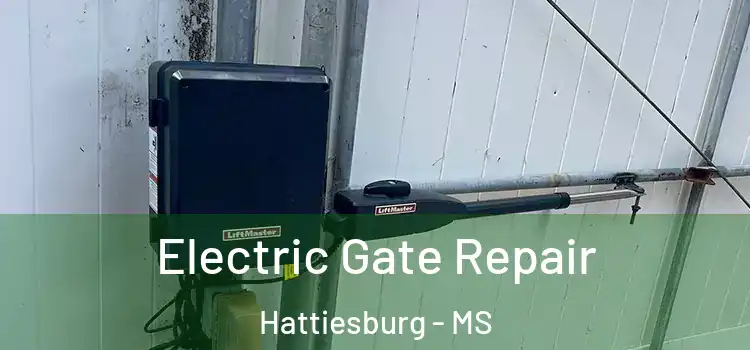 Electric Gate Repair Hattiesburg - MS