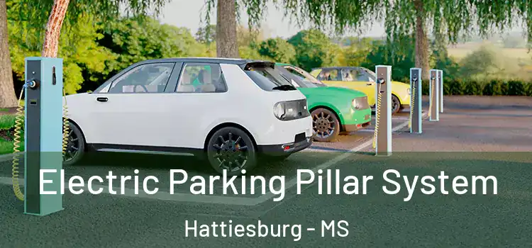 Electric Parking Pillar System Hattiesburg - MS