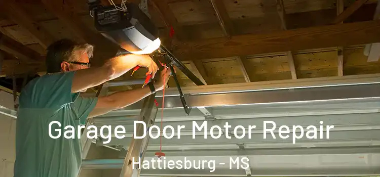  Garage Door Motor Repair Hattiesburg - MS