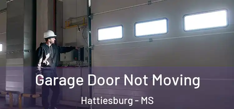  Garage Door Not Moving Hattiesburg - MS