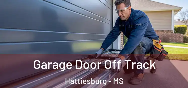  Garage Door Off Track Hattiesburg - MS