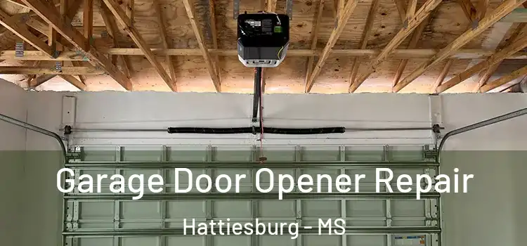 Garage Door Opener Repair Hattiesburg - MS