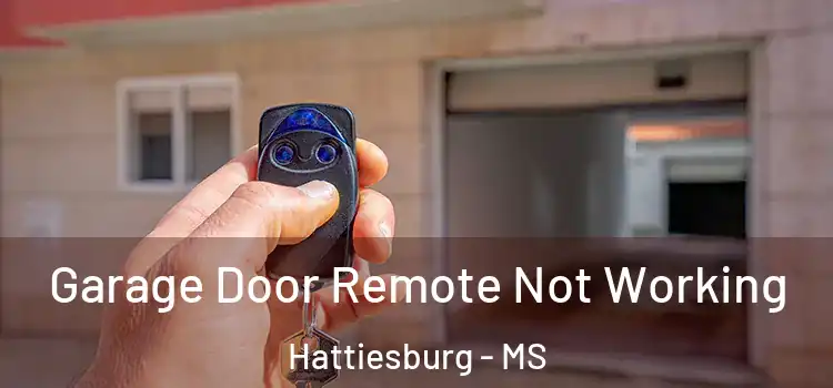  Garage Door Remote Not Working Hattiesburg - MS