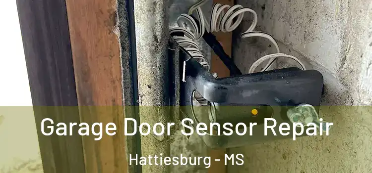 Garage Door Sensor Repair Hattiesburg - MS