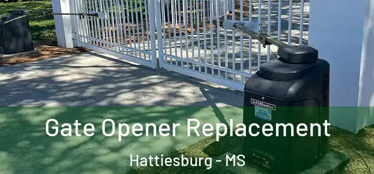 Gate Opener Replacement Hattiesburg - MS