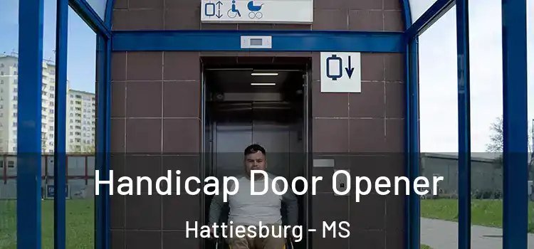 Handicap Door Opener Hattiesburg - MS
