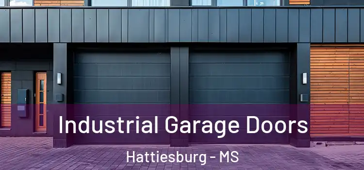  Industrial Garage Doors Hattiesburg - MS