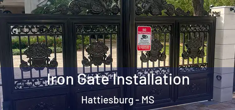 Iron Gate Installation Hattiesburg - MS