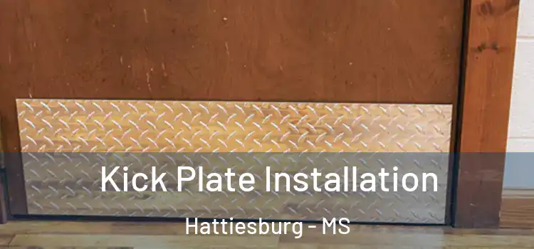 Kick Plate Installation Hattiesburg - MS