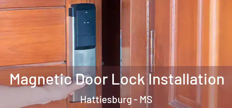 Magnetic Door Lock Installation Hattiesburg - MS