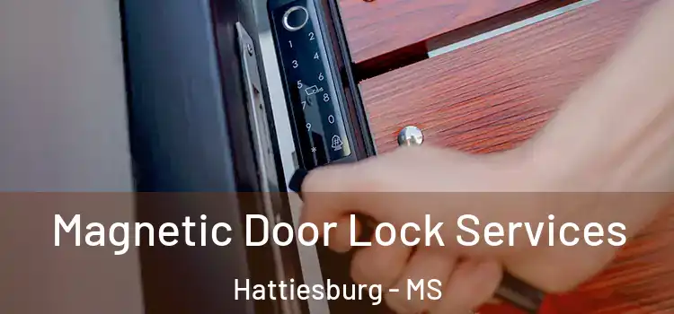 Magnetic Door Lock Services Hattiesburg - MS
