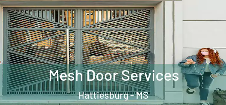 Mesh Door Services Hattiesburg - MS