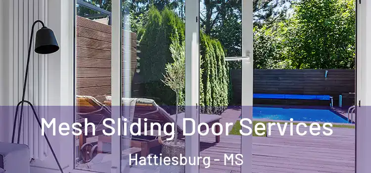 Mesh Sliding Door Services Hattiesburg - MS