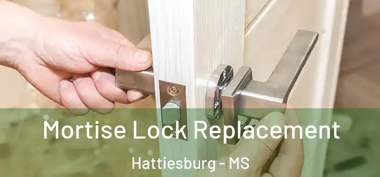 Mortise Lock Replacement Hattiesburg - MS