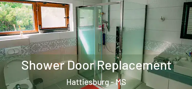 Shower Door Replacement Hattiesburg - MS