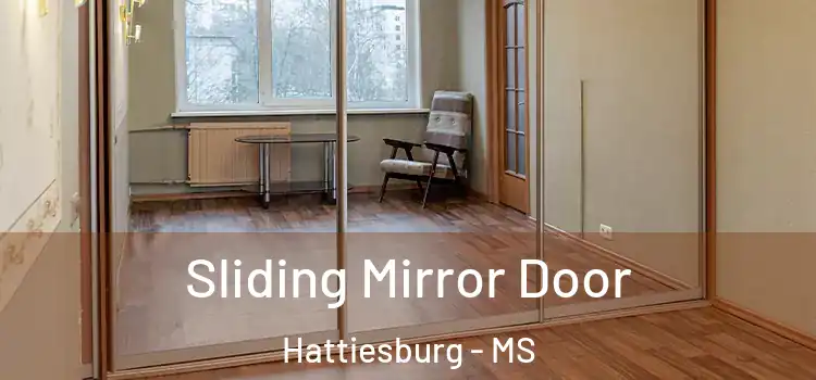  Sliding Mirror Door Hattiesburg - MS