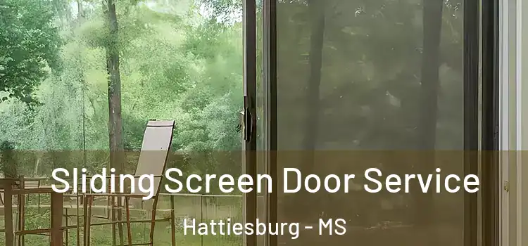 Sliding Screen Door Service Hattiesburg - MS
